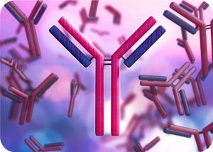 Advancements in Clinical Antibodies: Polyvalency as a Pivotal Emerging Trend | Cromos Pharma