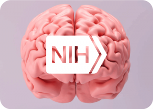 NIH Consortium Maps Gene Regulation in the Human Brain | Cromos Pharma
