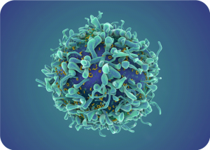 Accidental Discovery Boosts CAR T-Cell Therapy Efficacy with 'Keto Diet' Approach | Cromos Pharma