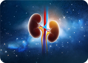 Otsuka Reports Positive Interim Results for Sibeprenlimab in Treating IgA Nephropathy | Cromos Pharma