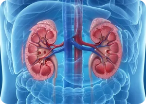 FDA Approves Crenessity: A Breakthrough Treatment for Congenital Adrenal Hyperplasia | Cromos Pharma