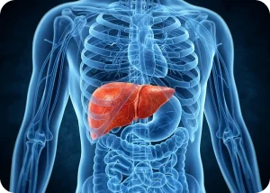 Enhancing Liver Disease Trials with AI: Nature Medicine Study Highlights
