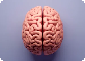 NIH Consortium Maps Gene Regulation in the Human Brain | Cromos Pharma