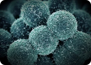 Pioneering Stem Cell Therapy for Alzheimer's Disease Begins Human Trials | Cromos Pharma