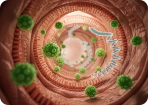 Unveiling Gut Microbiome Dynamics in Immune Checkpoint Blockade Treatment | Cromos Pharma