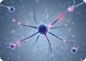 Role of Phosphorylated α-Synuclein in Healthy Brain Function Discovered | Cromos Pharma
