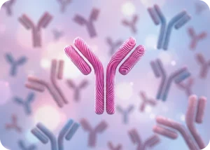Advancements in Clinical Antibodies: Polyvalency as a Pivotal Emerging Trend | Cromos Pharma